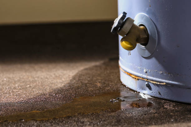Best Basement water damage restoration  in Lewisburg, TN