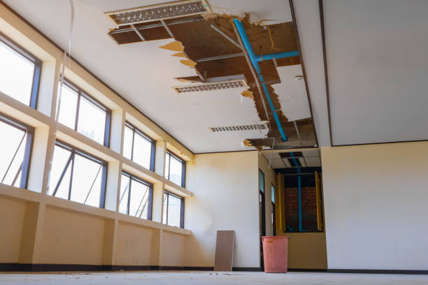 Best Carpet water damage restoration  in Lewisburg, TN