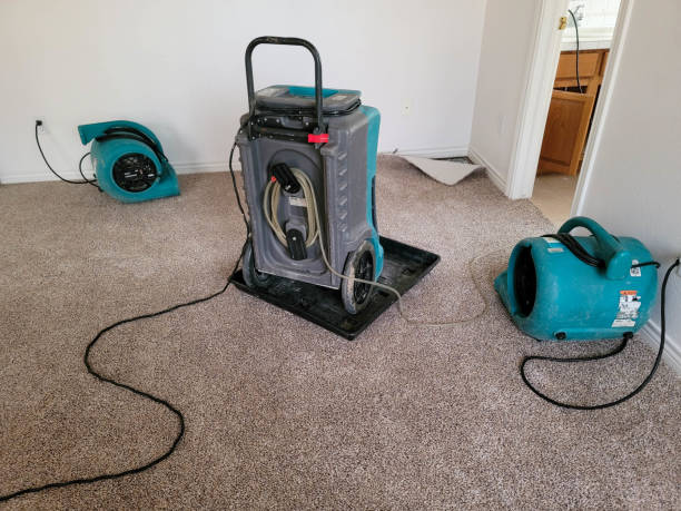 , TN Water damage restoration Company