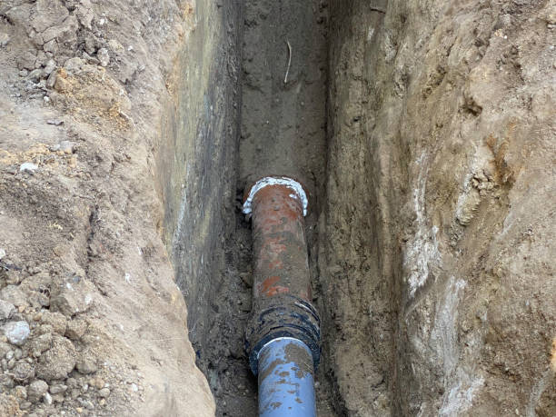 Best Flood damage cleanup  in Lewisburg, TN