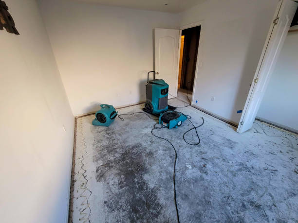 Best Flooded house restoration  in Lewisburg, TN
