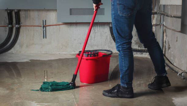 Best 24-hour water damage restoration  in Lewisburg, TN