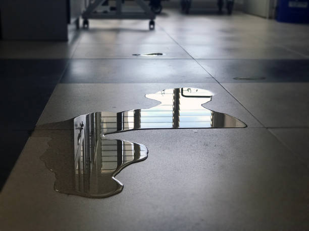 Best 24-hour water damage restoration  in Lewisburg, TN