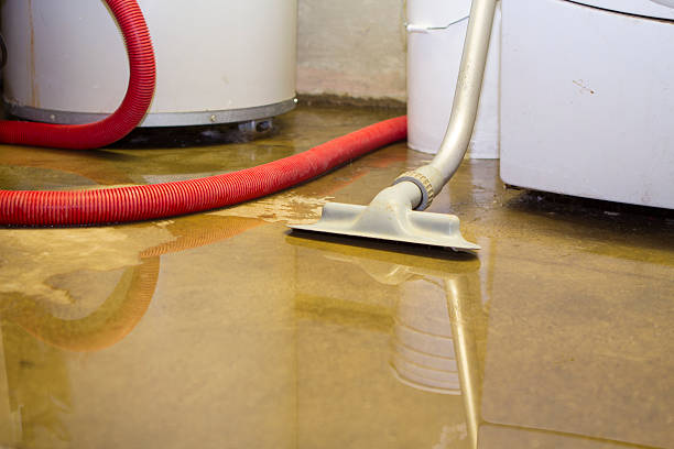Best Professional water damage repair  in Lewisburg, TN