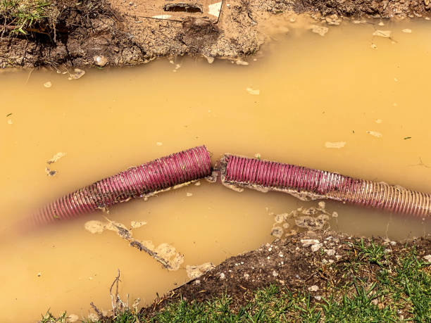 Best Water damage restoration company  in Lewisburg, TN